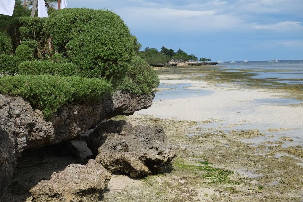 Dive Thru Resort Panglao Exterior photo